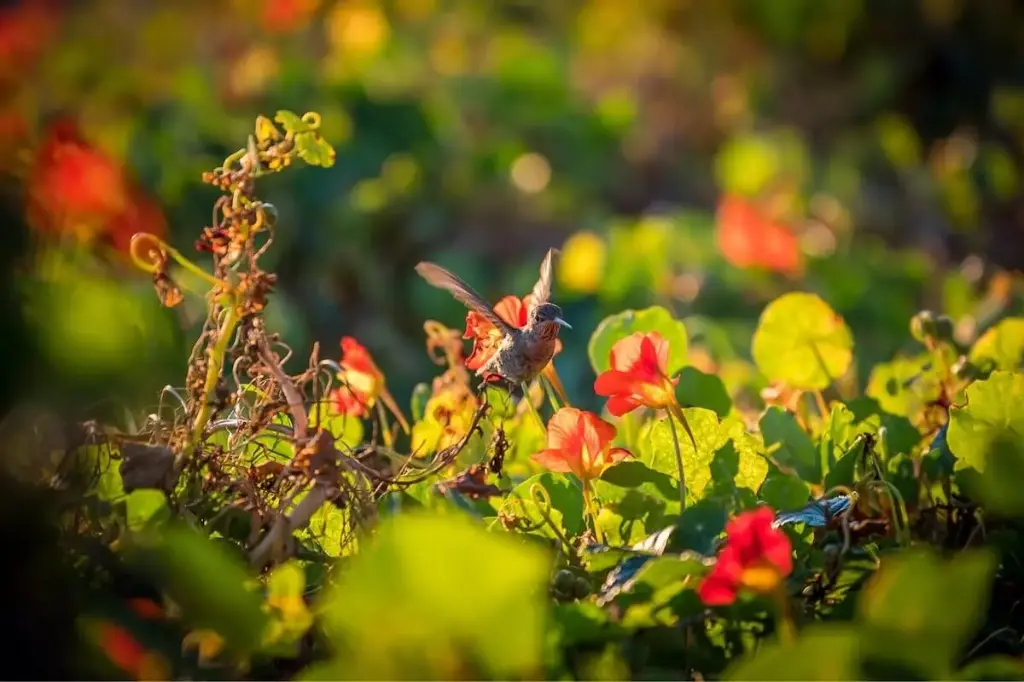 Full Ramadan Retreat (Couples) 